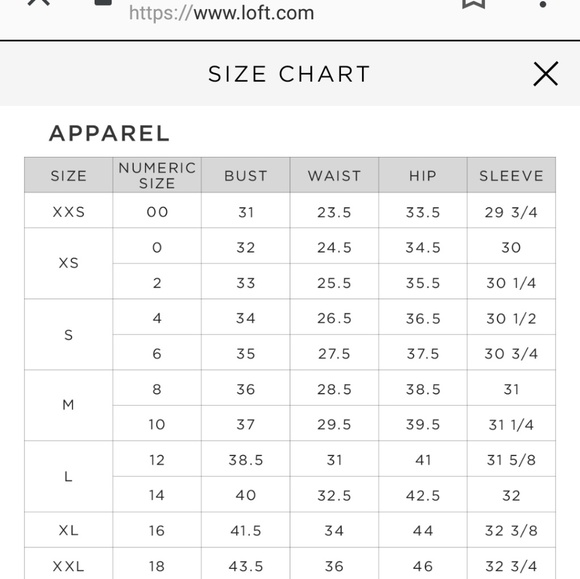 LOFT Seamed Heathered Legging Ponte Pants - Picture 4 of 4